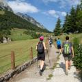 Camminare Fa Davvero Bene alla Schiena? Benefici e Falsi Miti